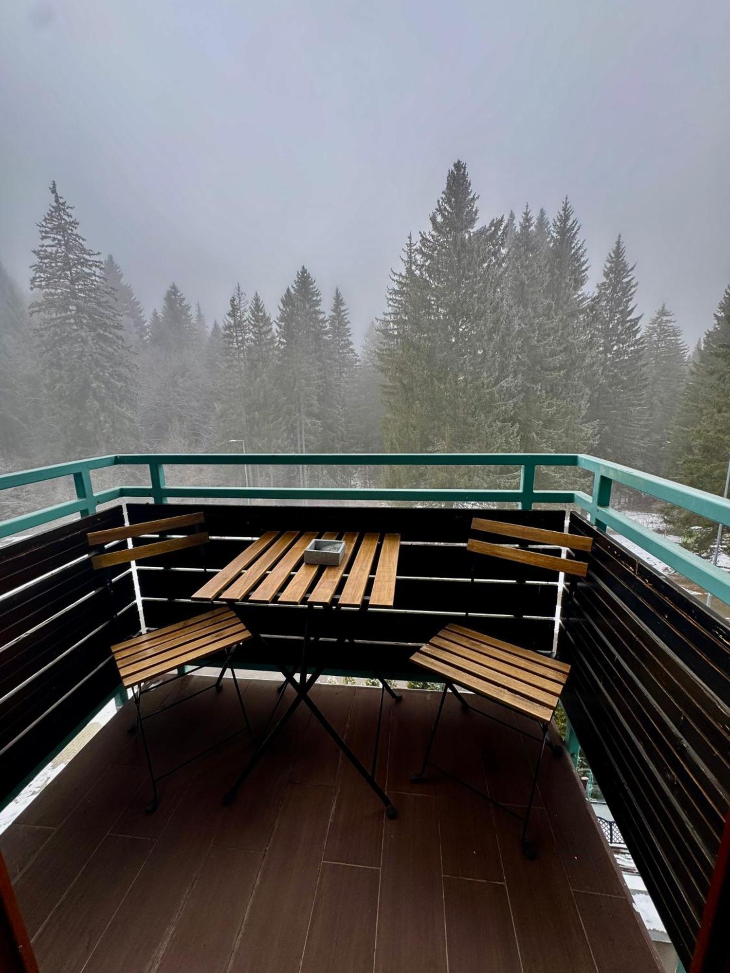 Luxury Silver Mountain Apartment Poiana Brasov Εξωτερικό φωτογραφία